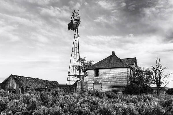 Washington Art Print featuring the photograph Departed by Mark Kiver