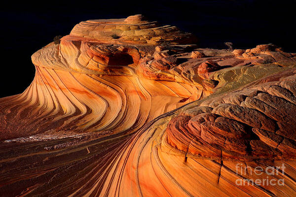 The Wave Art Print featuring the photograph Desert Delight by Bill Singleton