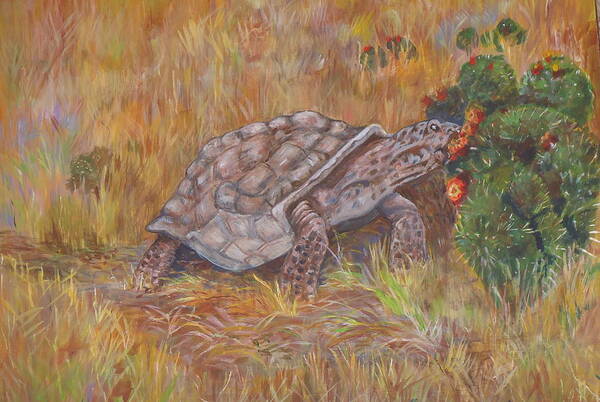 One Of The Oldest Desert Dwellers Eating Cactus. Desert Art Print featuring the painting Desert Tortoise Eating Cactus by Charme Curtin