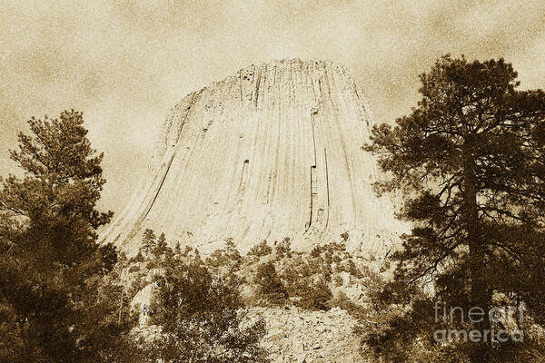 Travelpixpro Devils Tower Art Print featuring the digital art Devils Tower National Monument Between Trees Wyoming USA Vintage by Shawn O'Brien