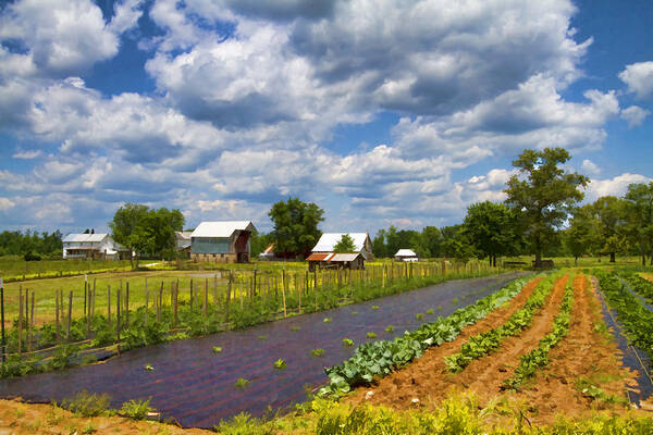 Amish Art Print featuring the photograph Digitally Painted Amish Farm by Kathy Clark