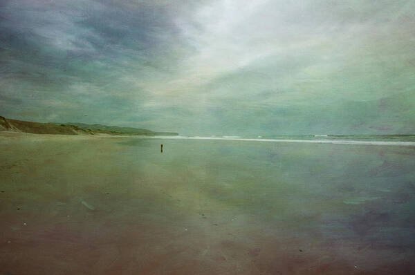 Water's Edge Art Print featuring the photograph Dog On A Beach by Jill Ferry