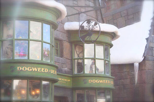 Hogwarts Art Print featuring the photograph Dogweed Dream by Shelley Overton