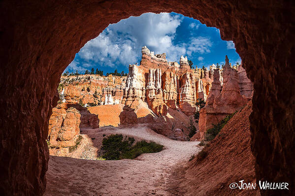 Bryce National Park Art Print featuring the photograph Doorway to Bryce by Joan Wallner