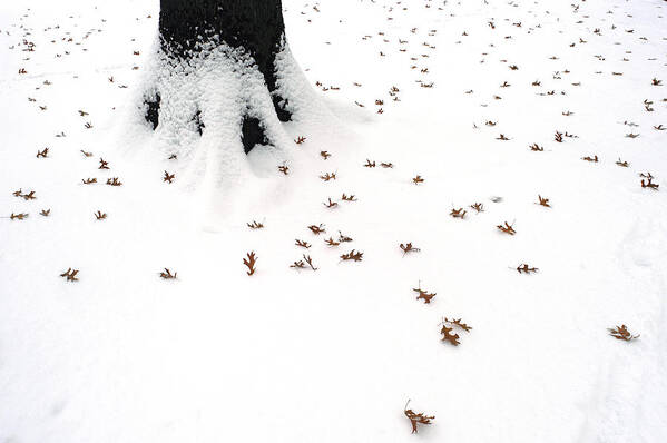 Snow Art Print featuring the photograph Dots by Yue Wang