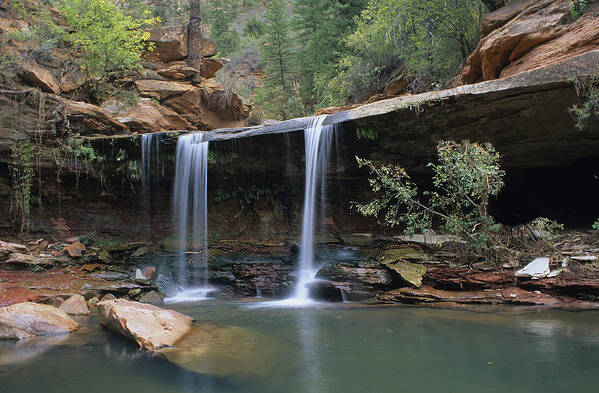Zion Art Print featuring the photograph Double Falls on North Creek by Susan Rovira