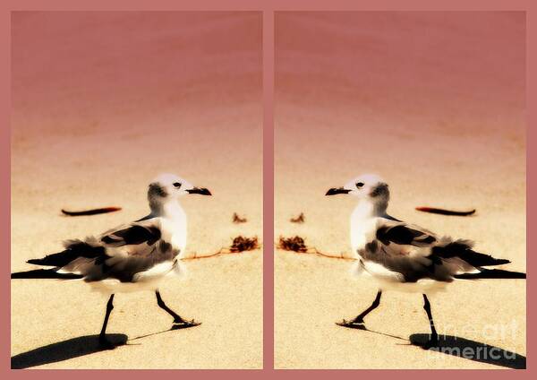 Double Gulls Art Print featuring the photograph Double Gulls Collage by Susanne Van Hulst