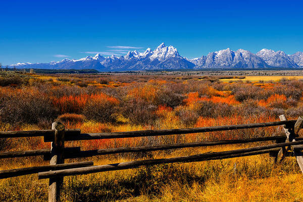 Tetons Art Print featuring the photograph Down in the Valley by Greg Norrell