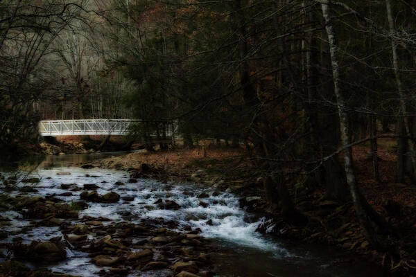 Bridge Art Print featuring the photograph Dream Bridge by Melissa Petrey