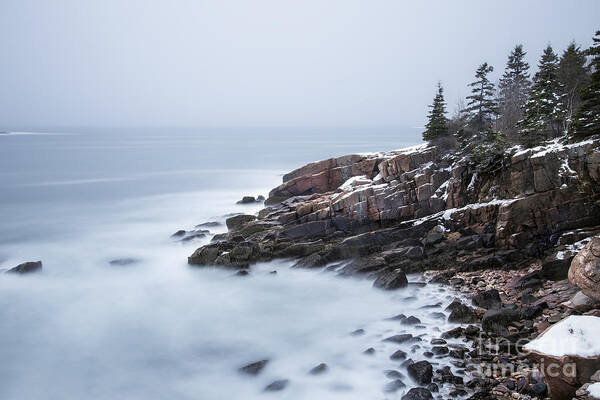 Acadia Art Print featuring the photograph Dream State by Evelina Kremsdorf