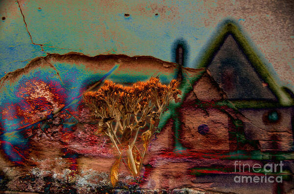 Composite Art Print featuring the photograph Dried and Growing from a Painted Rock by Jay Ressler