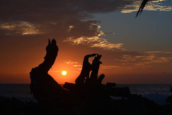 Driftwood Art Print featuring the photograph Driftwood Sunset by Lori Seaman