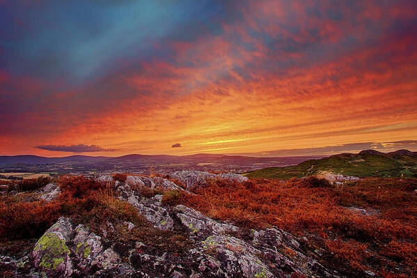 Tranquility Art Print featuring the photograph Dublin On Fire by Sigita Playdon Photography