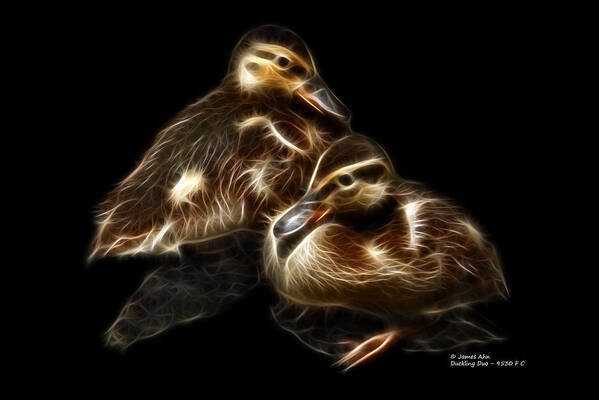 Duck Art Print featuring the digital art Duckling Duo - 9530 F C by James Ahn