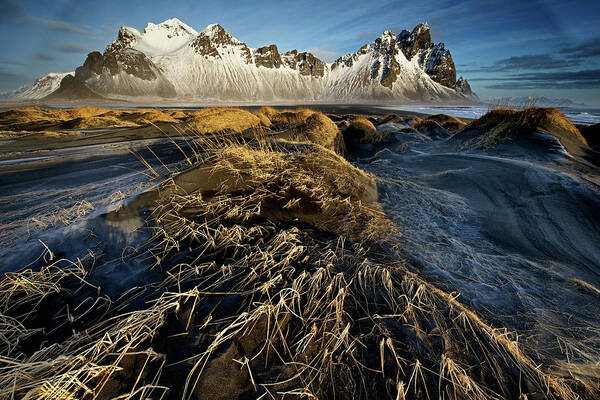 Vestrahorn Art Print featuring the photograph Dunes And Sea Interact by Trevor Cole