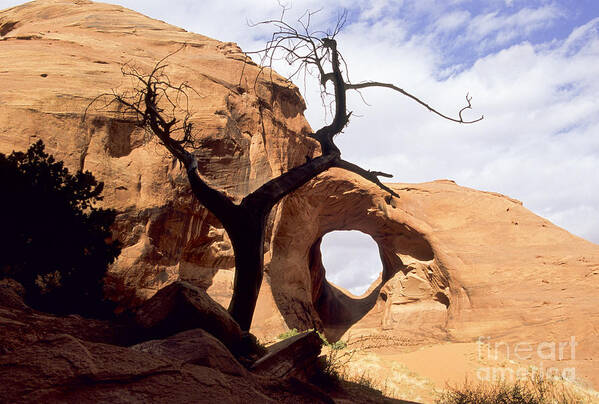 Arizona Art Print featuring the photograph Ear of the Wind by Fred Stearns