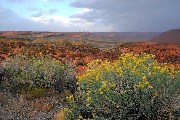 Landscape Photograph Art Print featuring the photograph Early Evening Landscape at Arches National Park by Cascade Colors