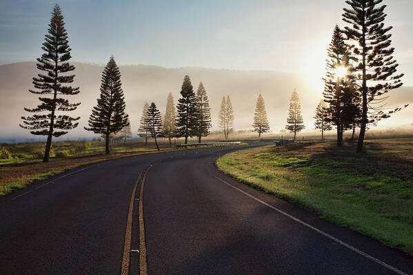 Blue Sky Art Print featuring the photograph Early Morning Fog On Manele Road by Jenna Szerlag