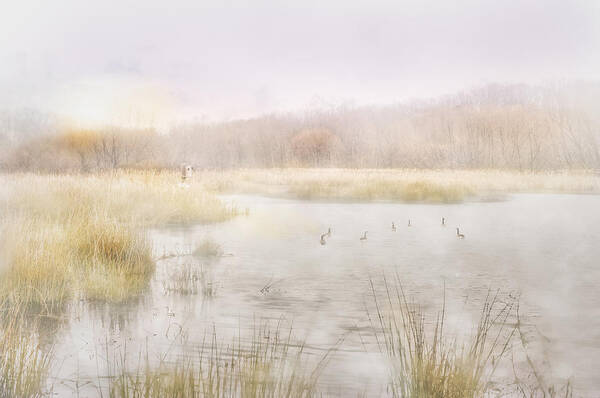 fine Art Art Print featuring the photograph Early Morning Geese by Brent Craft