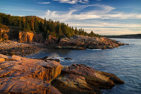 Acadia Art Print featuring the photograph Early Morning Sun by Darylann Leonard Photography