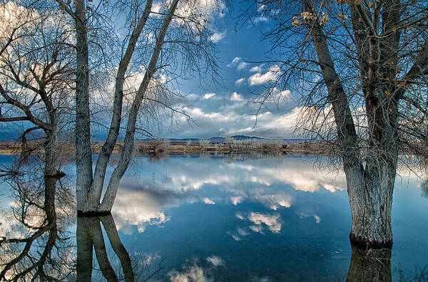 Water Art Print featuring the photograph Earth and Sky by Cat Connor