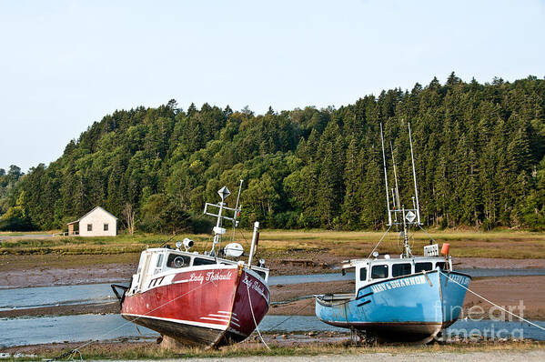  Art Print featuring the photograph East Coast Low Tide Scene by Cheryl Baxter
