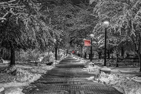 College Campus Art Print featuring the photograph Eastern Path with Red by Mark Kiver