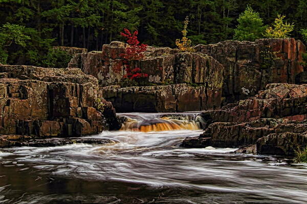 Autumn Art Print featuring the photograph Waterfall Under Colored Leaves by Dale Kauzlaric