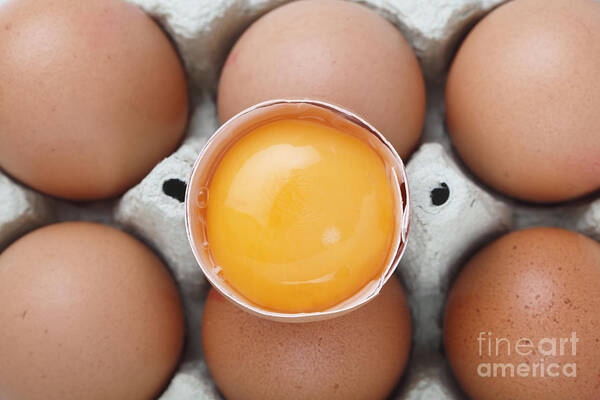 Yolk Art Print featuring the photograph Egg yolk from above by Paul Cowan