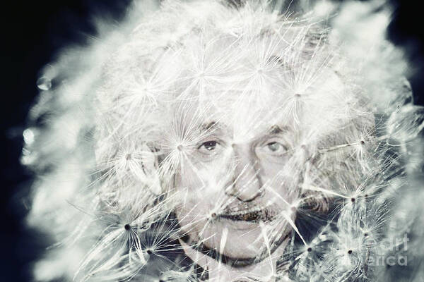 Einstein Art Print featuring the digital art Einstein Dandy by Mindy Bench