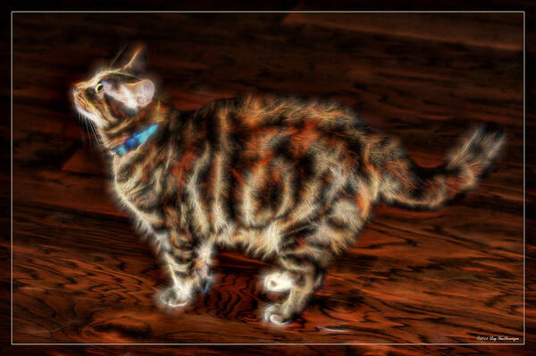 Electric Art Print featuring the photograph Electric Kitty by Lucy VanSwearingen
