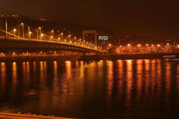Budapest Art Print featuring the photograph Elizabeth Bridge at Night by Zin Zin