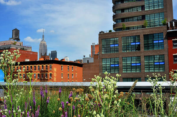 Empire State Building Art Print featuring the photograph Empire State Building from the High Line by Diane Lent