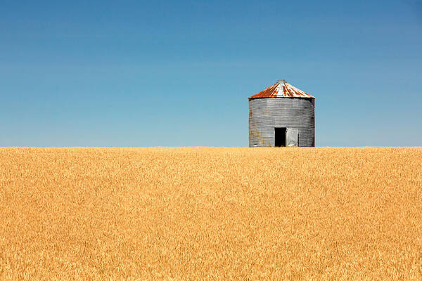 Grain Bin Art Print featuring the photograph Empty Bin by Todd Klassy