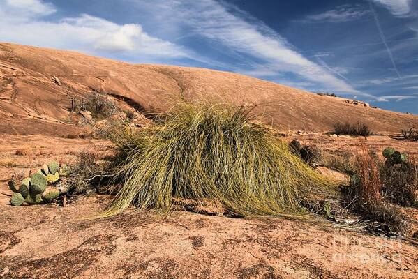 Enchanted Rock Art Print featuring the photograph Enchanted Mop by Adam Jewell