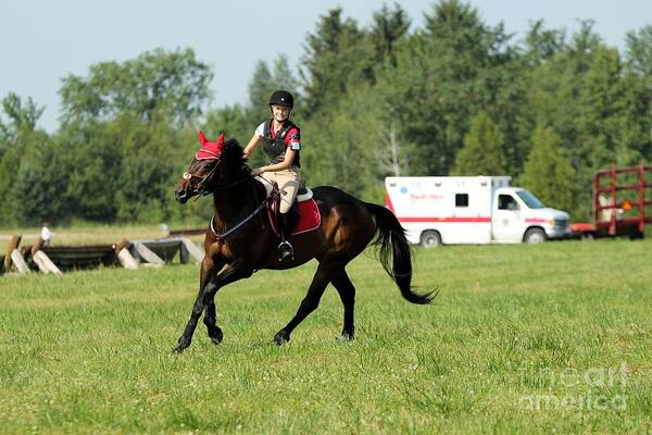 Horse Art Print featuring the photograph Eventing Fun by Janice Byer