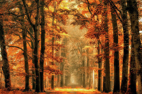 Majestic Art Print featuring the photograph Exit The Portal by Lars Van De