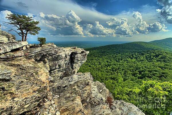 Hanging Rock State Park Art Print featuring the photograph Face In The Cliff by Adam Jewell