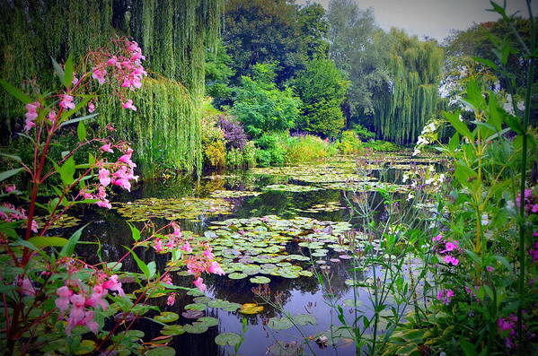 Water Lilies Art Print featuring the photograph Fairy Tale Pond with Water Lilies and Willow Trees by Carla Parris