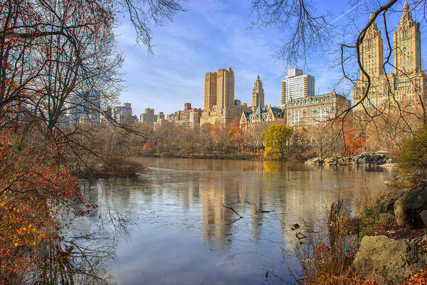 Ny Central Park Art Print featuring the photograph Fall Afternoon At Central Park by Tim Reaves