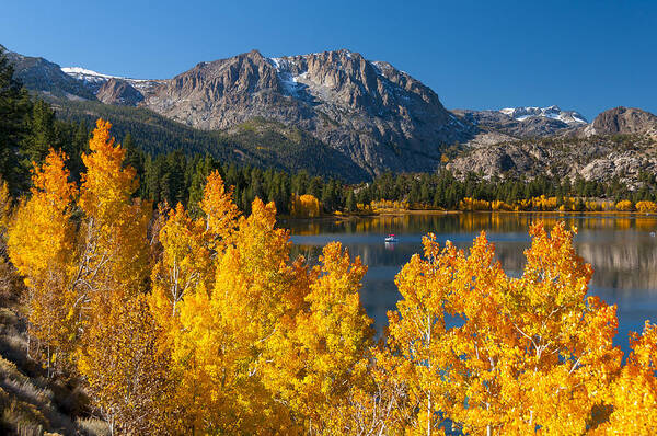 Eastern Sierras Art Print featuring the photograph Fall color at June Lake by Joe Doherty