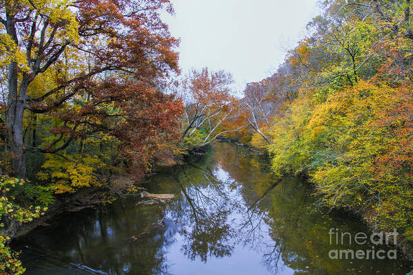 Chattooga River Art Print featuring the photograph Fall colors along the Chattooga River by Barbara Bowen