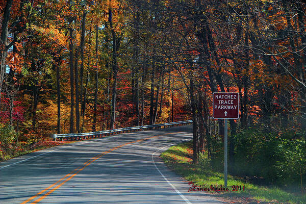 Ericamaxine Art Print featuring the photograph Fall Drive in Tennessee 1 by Ericamaxine Price