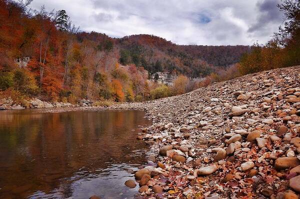 Fall Art Print featuring the photograph Fall in the Ozarks by Renee Hardison