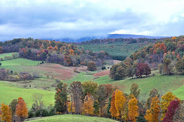 Fall Art Print featuring the photograph Fall In Virginia by Denise Romano