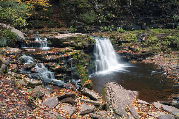 Cayuga Art Print featuring the photograph Fall Leaves Embellish Cayuga Falls by Gene Walls