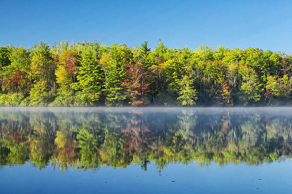 Landscape Art Print featuring the photograph Fall Reflections by Mark Steven Houser