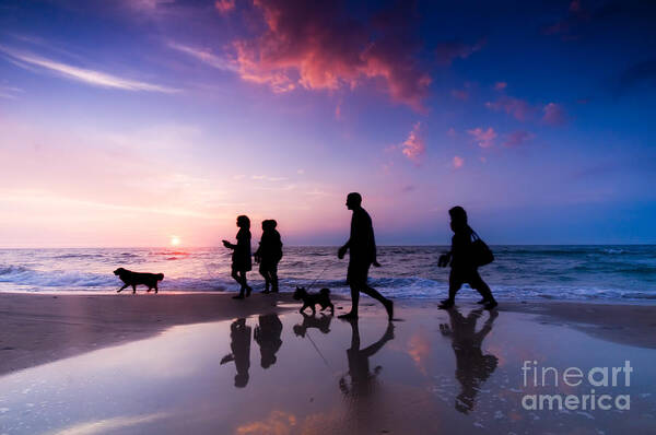 Family Art Print featuring the photograph Family walk by Michal Bednarek