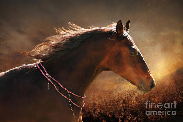 Horse Art Print featuring the digital art Fancy Free by Michelle Twohig