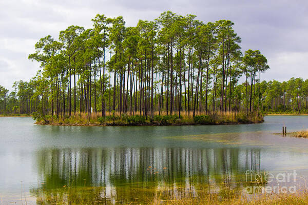 Everglades National Park Art Print featuring the photograph Fantasy Island in the Florida Everglades by Rene Triay FineArt Photos
